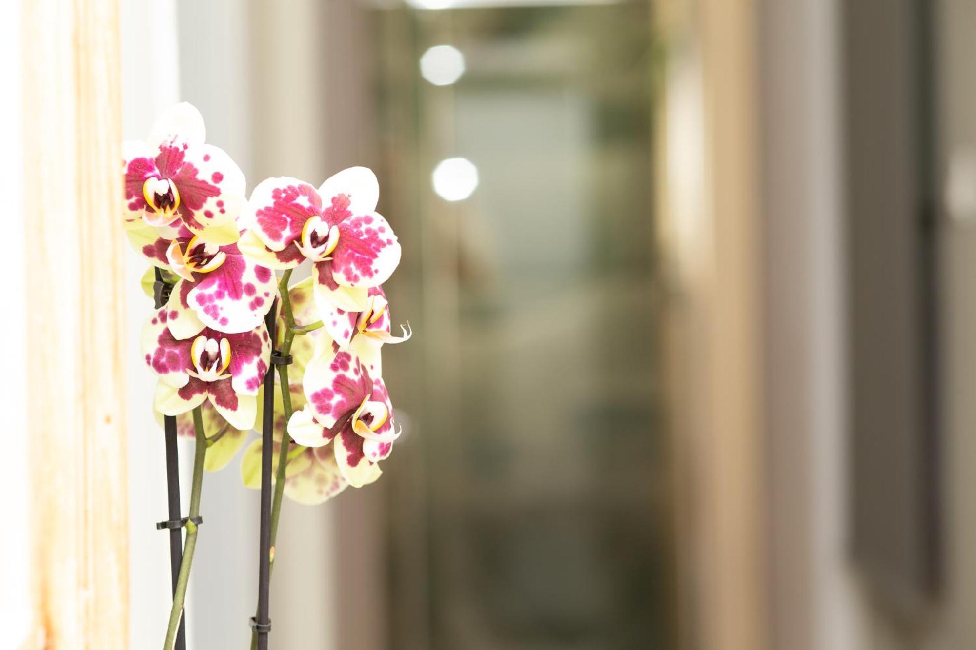 Appartamento Prestige Penthouse - Breathtaking Parthenon Views In Plaka Atene Esterno foto